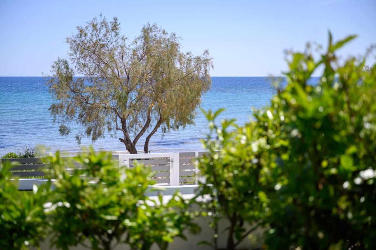Cubes On The Beach Athens Airport อาร์เตมีดา ภายนอก รูปภาพ
